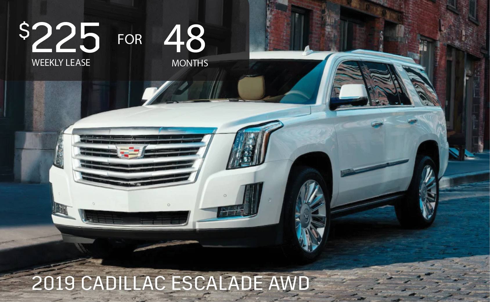Cadillac Escalade AWD Escalade